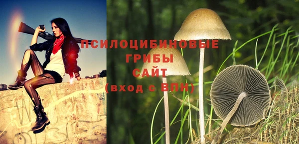 наркотики Белокуриха