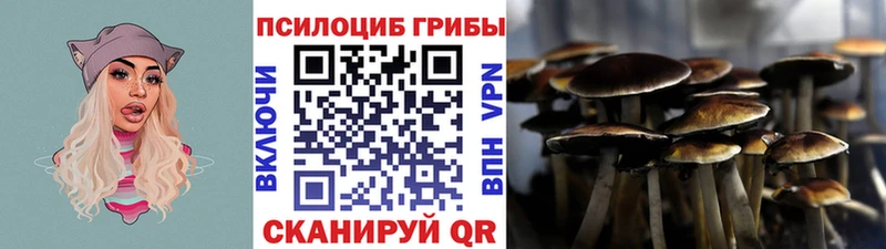 Галлюциногенные грибы GOLDEN TEACHER  mega ссылки  Вятские Поляны  купить наркоту 