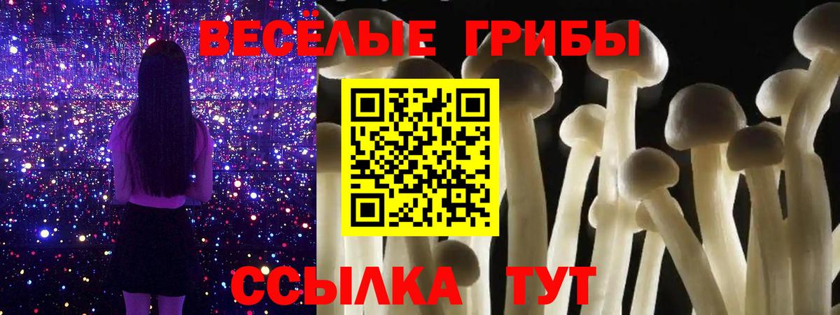 Псилоцибиновые грибы GOLDEN TEACHER  Псилоцибиновые грибы Psilocybe  Вход с VPN  Вятские Поляны 